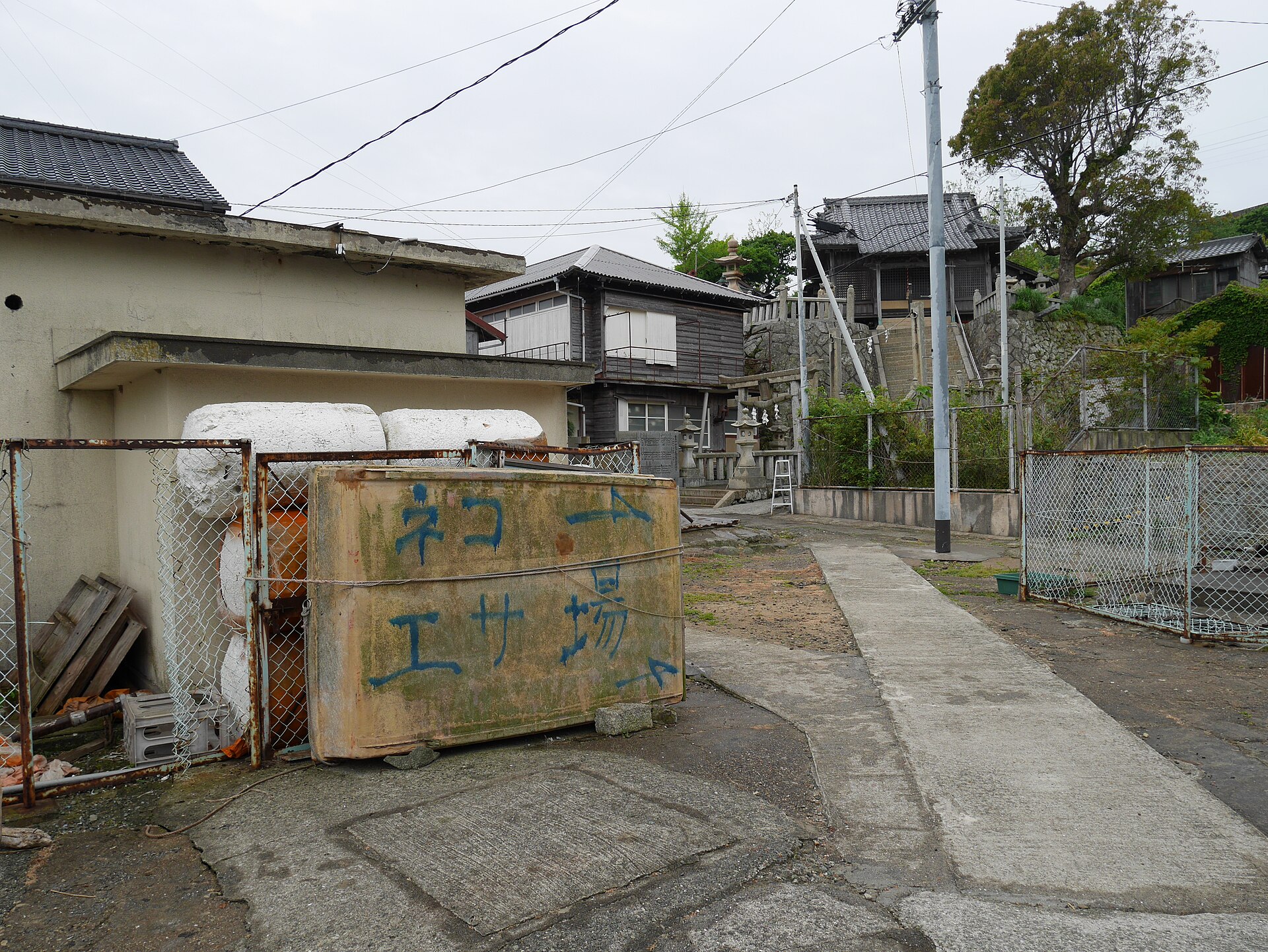 The designated cat feeding area on Aoshima
