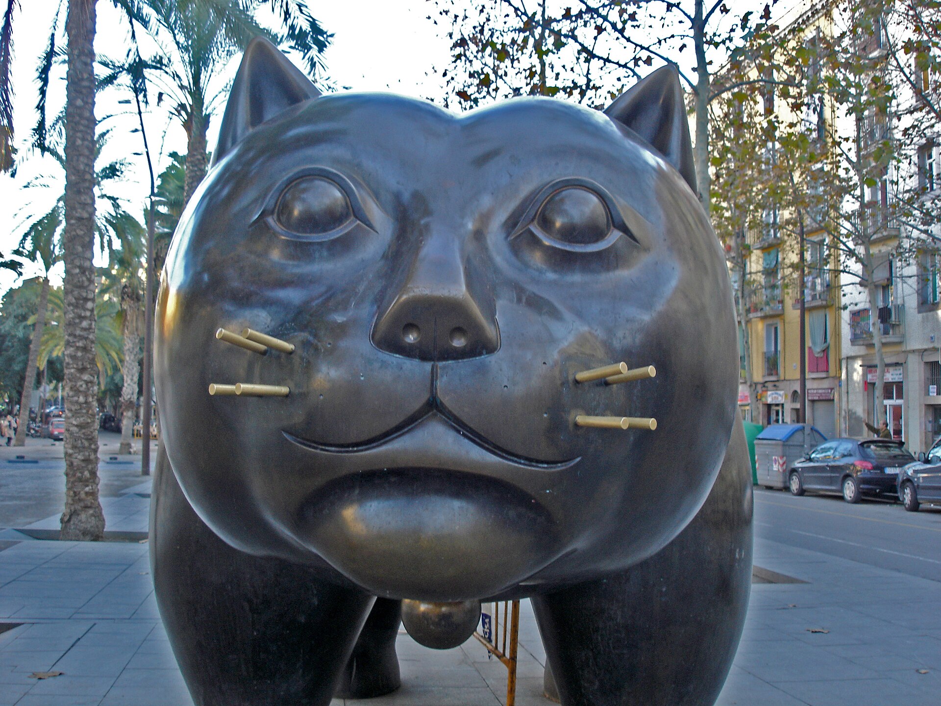 The face of Botero’s Raval cat, whiskers and all