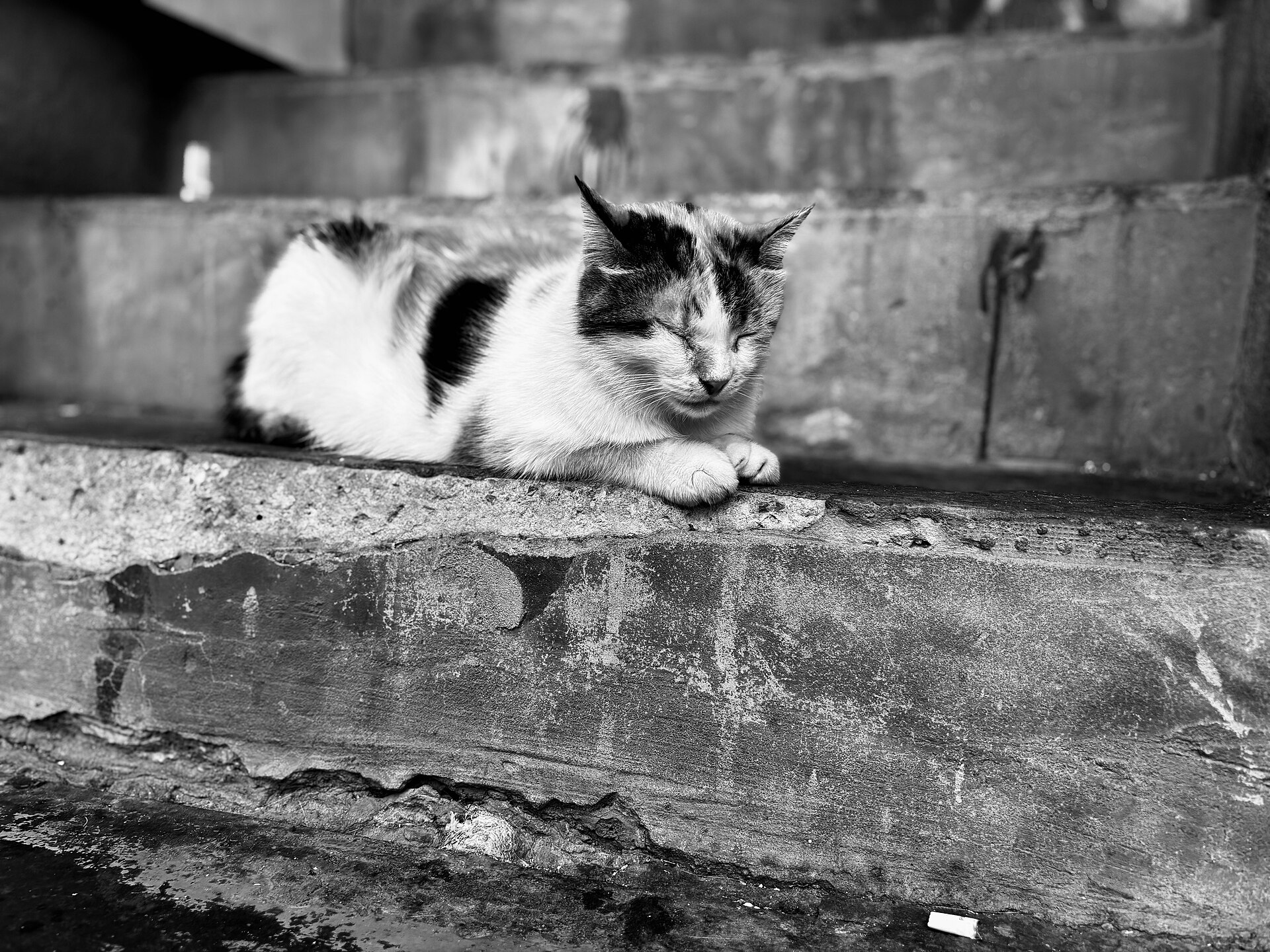 A cat asleep on a worn stone step in Beyoğlu