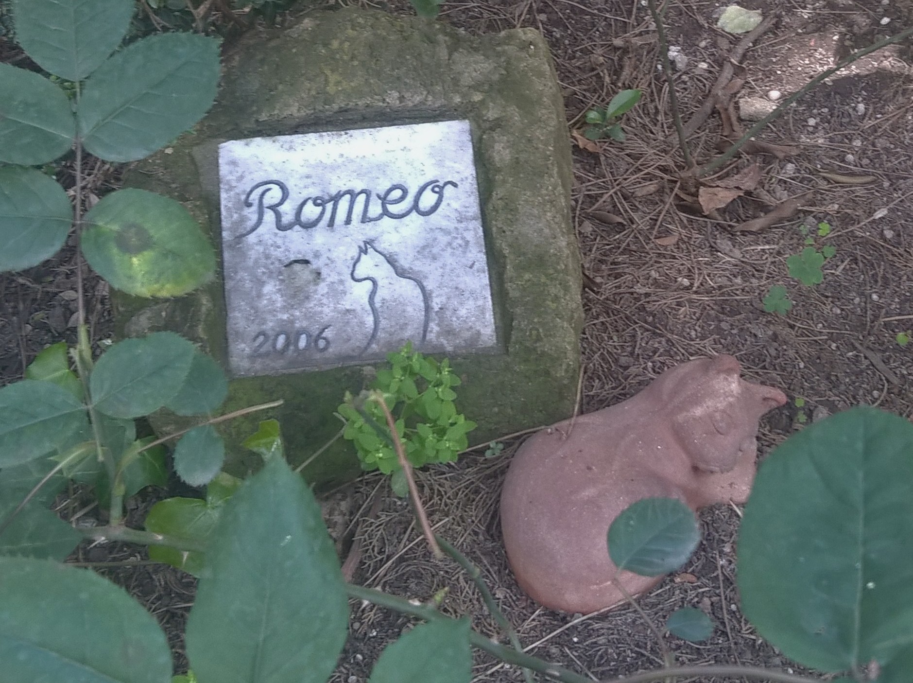 The grave of Romeo, a cat, in the Non-Catholic Cemetery in Rome